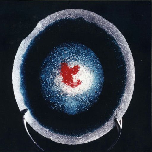 Water bubbles (02/05)