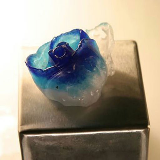 Roses (04/08)