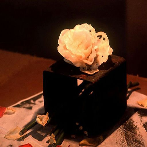 Roses (05/08)